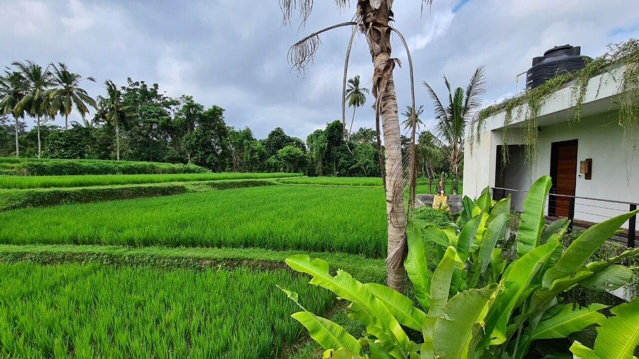 Ayurvedagram Bali Hotel Ubud  Exterior photo